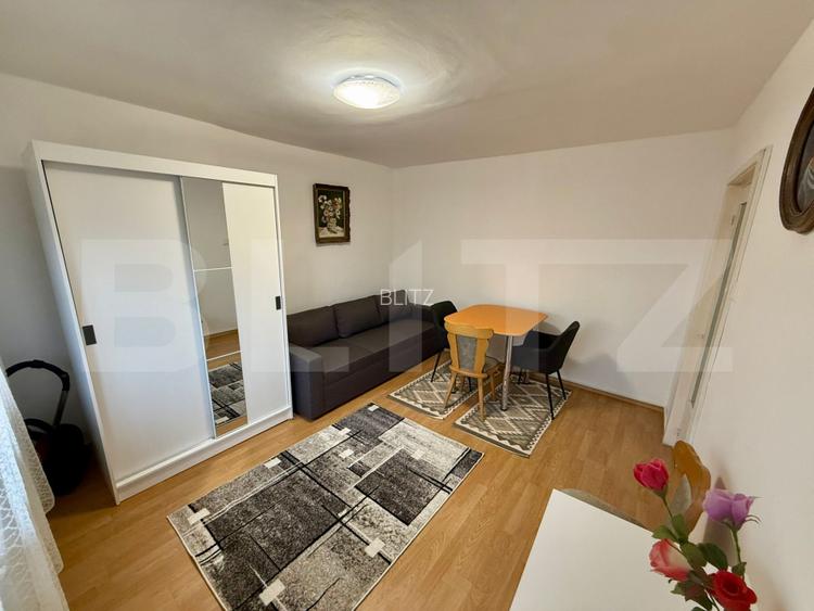 Garsoniera 36 mp, centrala proprie, Etaj 1,  Brazda lui Novac - 2