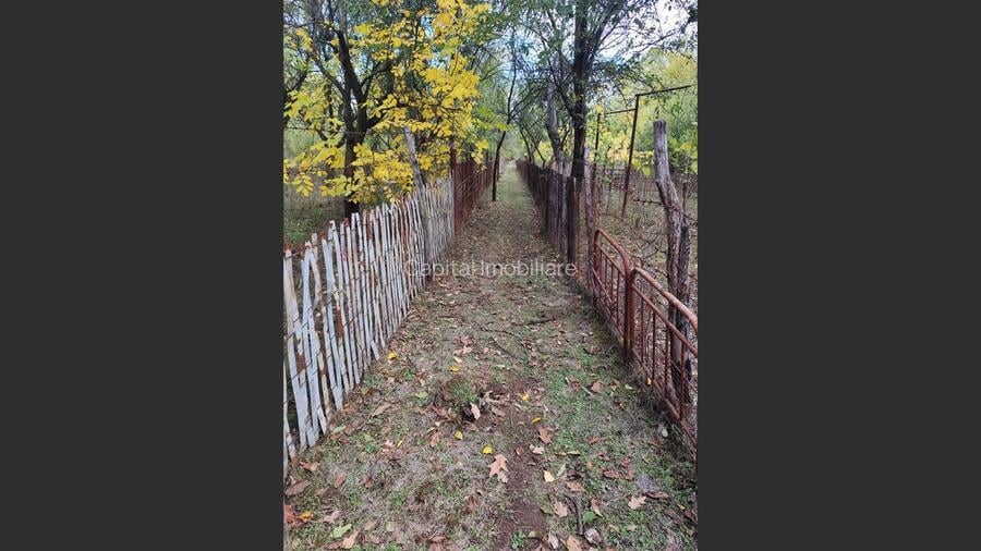 Casa Baicoi 120mp. Valea Stelii - 11