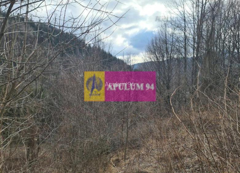 Teren de vânzare în Sinaia - Platou Izvor - 8