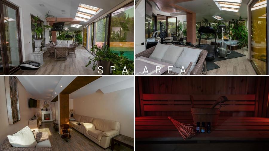 Vila grandioasa, Gradina Japoneza, SPA, Crama, Teren Tenis, Foisor, Iaz Pesti - 10