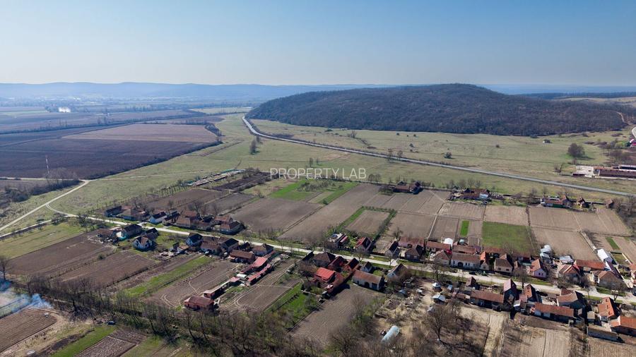 Loc de casă în Odvoș - Conop 3000mp - 13