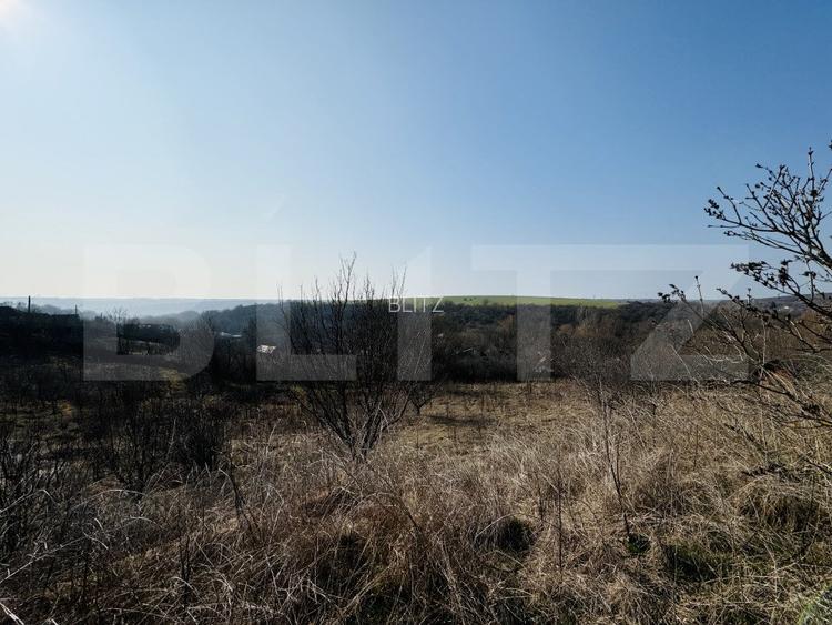 Conac cu teren intravilan 8759 mp, priveliste panoramica, Ciutura - 11