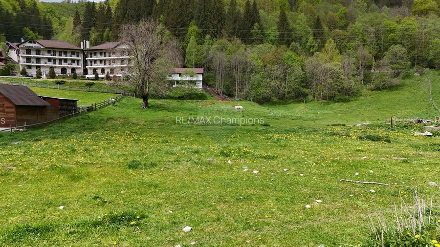Intravilan | 10.000 mp| Sătic-Rucăr | Acces facil | Potențial excelent - 2