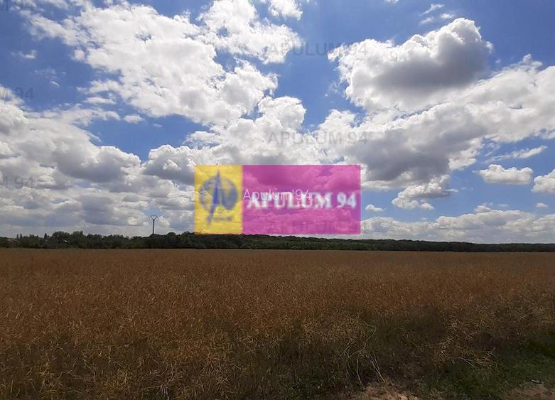 Teren 715mp în Snagov lângă Equestria - 44