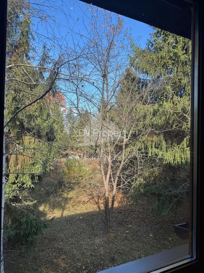 Pensiune/ Vila Valea Avrigului - 18