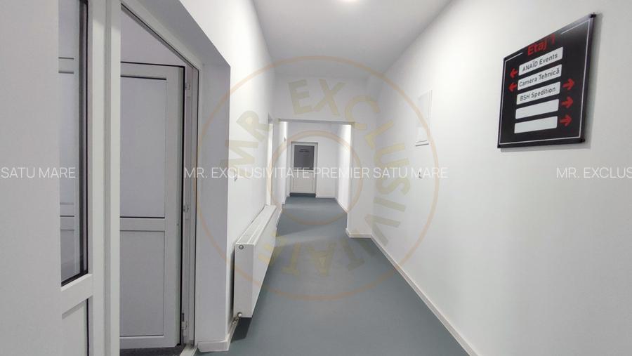 Inchiriere Spatii de Birouri/Productie - Str. Uzinei - Carei - Comision 0%  - 13