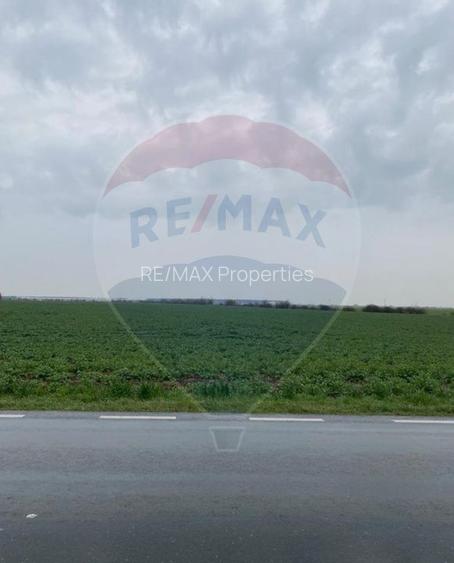 Teren de vânzare Găneasa Ilfov | 500 m de DN | Rezidențial/Industrial - 2