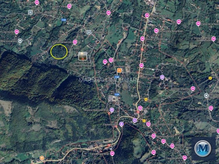 Teren intravilan de vanzare in Bran, 24000 mp #16561 - 3