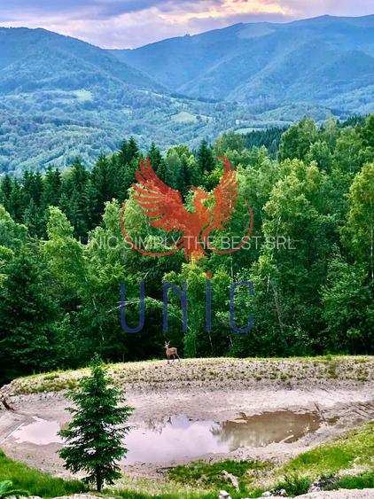 18000 mp de natura pura ,Lupeni, langa Straja - 9