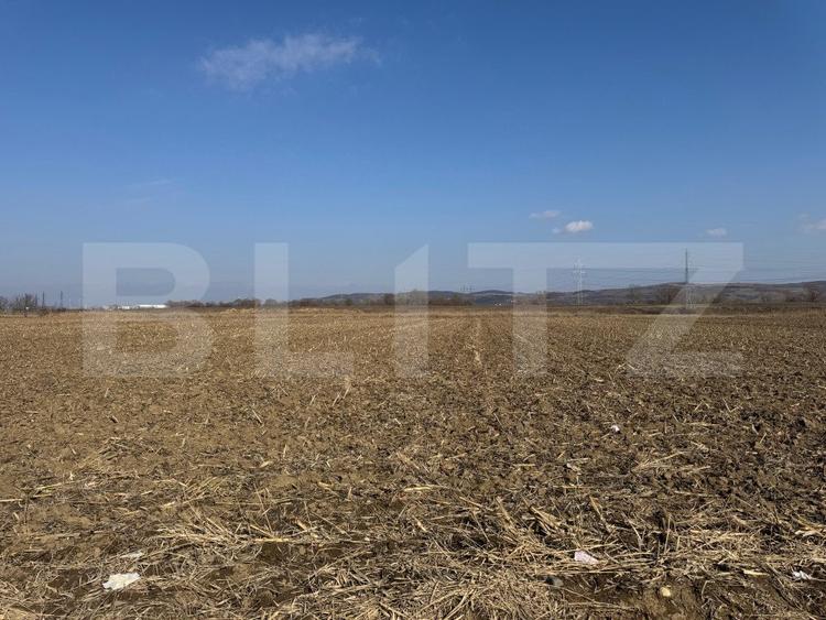 Teren intravilan de vanzare,2900mp - Soseaua de centura