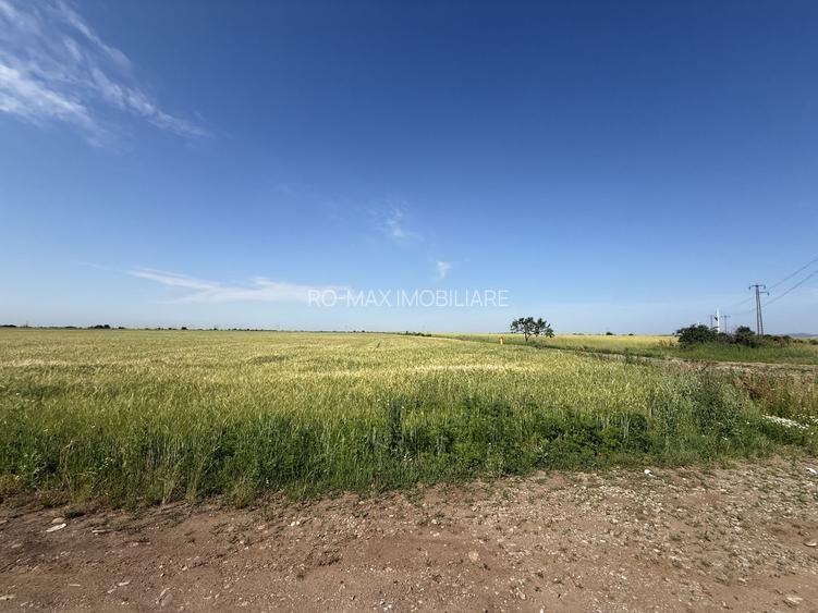 Teren 10 hectare pretabil pt panouri solare-Aricesti Rahtivani - 11