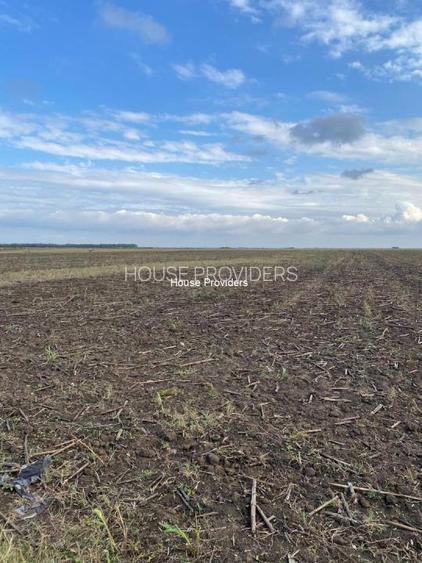 Vânzare teren extravilan 7500 mp, Berceni, Ilfov - 2