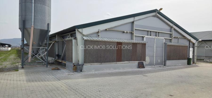 Ferma pasari- curci - 2