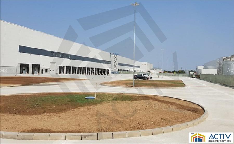 Spatii depozitare in WDP Park Dragomiresti - 2