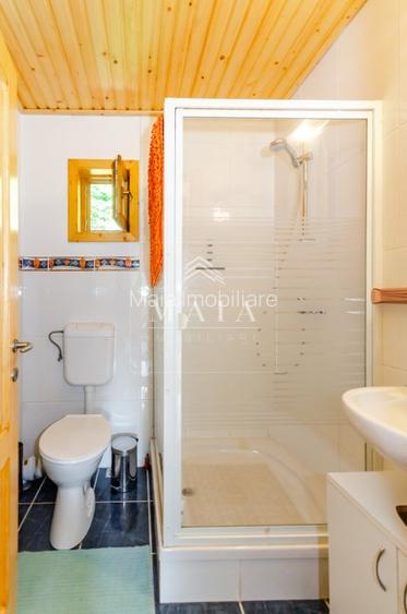 Casa 3 camere, 840 mp teren care include padure, Paltinis - 8