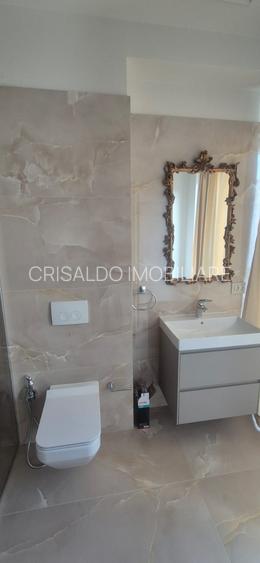 Proprietate deosebita Iancu Nicolae - 33