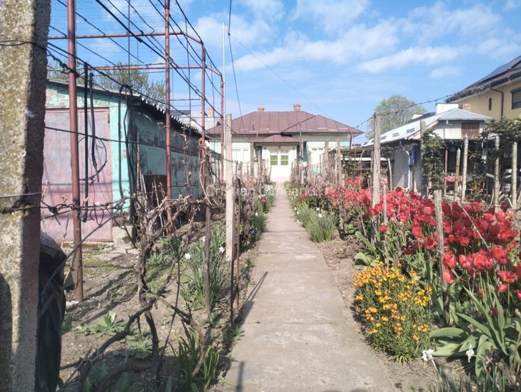 Casa  la curte Oltenita - 2