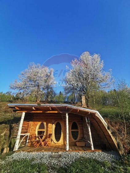 6,2 ha + business turistic activ | Munții Apuseni - 2