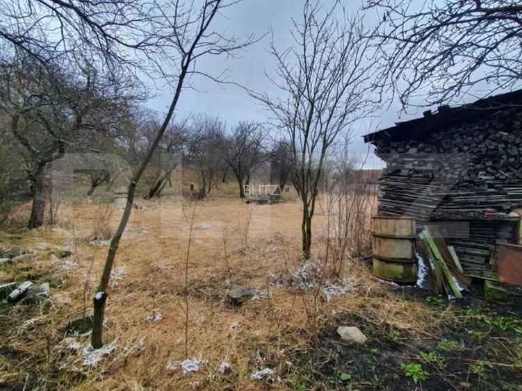 Casa cu teren generos în Ceanu Mic – 1.700 mp, la doar 20 km de Cluj-Napoca - 2
