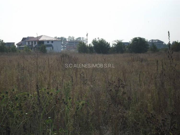 Teren 1,25 ha intravilan - 2