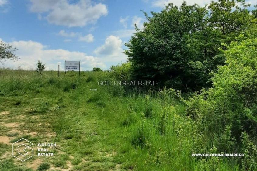 Teren intravilan 2880 mp, DJ 572 Lipova - 2