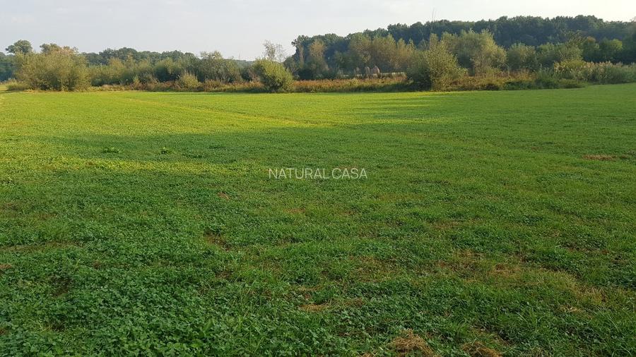 Teren constructii zona Cisnadioara - 2