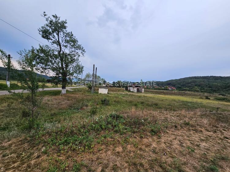 Teren localitatea Balata - 4