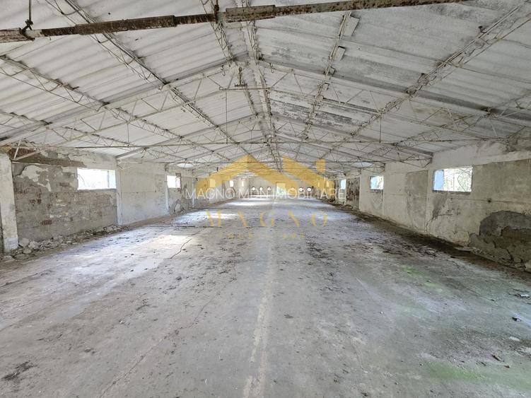 Hale industriale de vânzare – Arad, zona Exterior Vest / Calea Bodrog - 7