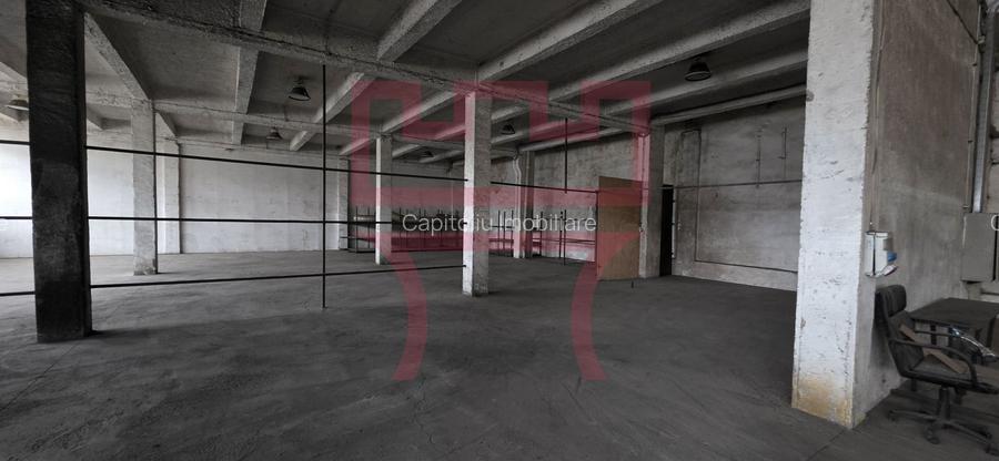 Inchiriere hala pod rulant 5T 650mp posibil 1350mp Corneliu Coposu - 9