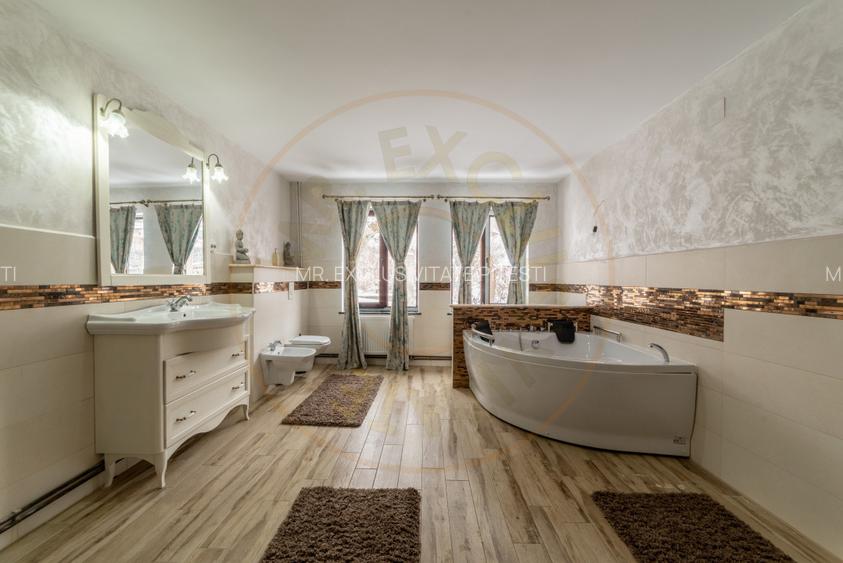 Casa 6 camere langa padure/ 340 mp/ teren de 3 745 mp la 5 min de Pitesti - 4