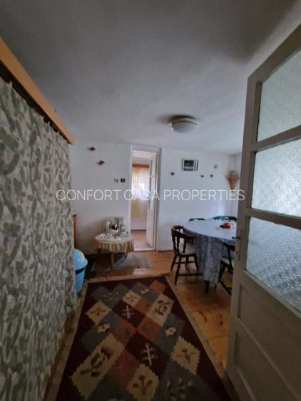 Balilesti - Stradal, casa spatioasa, 4600 mp teren intravilan - curte spatioasa - 15