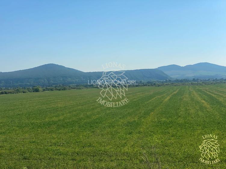 Teren 13400mp la DN 17-parcelabil Podirei - 3