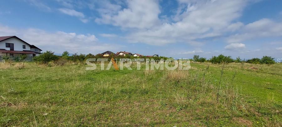 Teren Intravilan Tarlugeni - 5