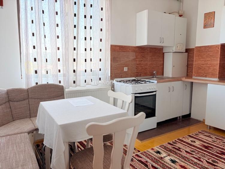 Apartament//Studio cochet zona 1Mai-Pta Chibrit//Mobilat-Utilat//Boxa subsol - 6