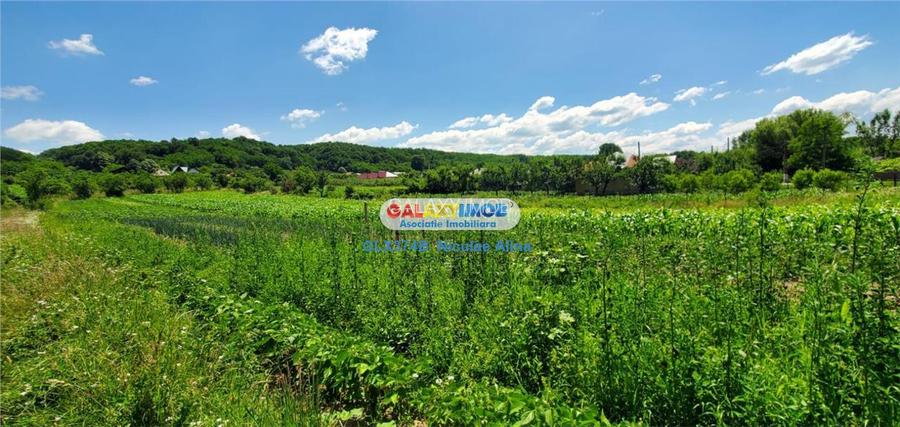 Teren intravilan comuna Bogati sat Birloi Jud. Arges - 7