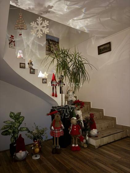 Eroii Revolutiei, central, vand vila  P+2,Parcul Carol,Tineretului, proprietar - 13