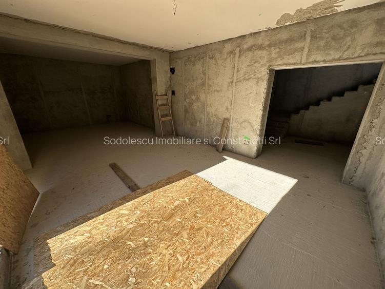 Proiect deosebit zona Medicina / Isho - 29