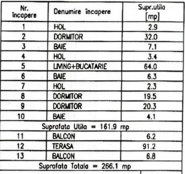 Penthouse cu vedere la Palat, de 266 mp - 13