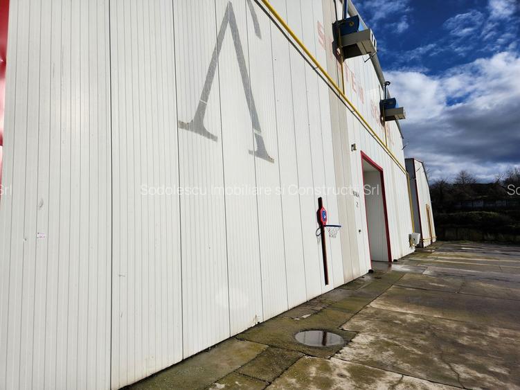 Hale depozit-productie industriala la 20 km de TM - 13