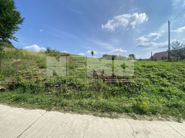 Teren Intravilan | 25 Ari | Voievodeasa - 4