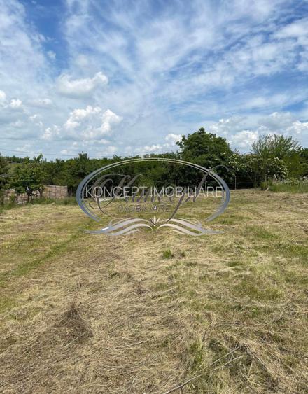 Teren intravilan generos cu utilitati si front larg in Jucu de Sus - 4