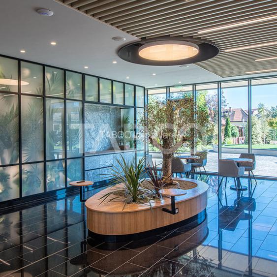 Birouri premium in Sibiu–Spatii flexibile moderne pentru companii - 15