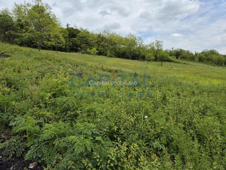 Oportunitate de investitie! Teren extravilan 11 400 mp, Apahida - 2