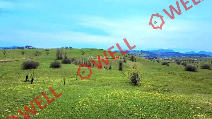 De vânzare teren extravilan în Sărămaș! - 7