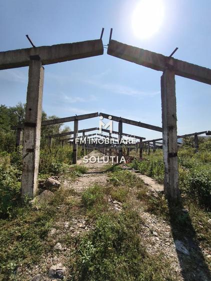 Complex industrial  cu teren 18,672 mp Târgu Lăpuș - 22