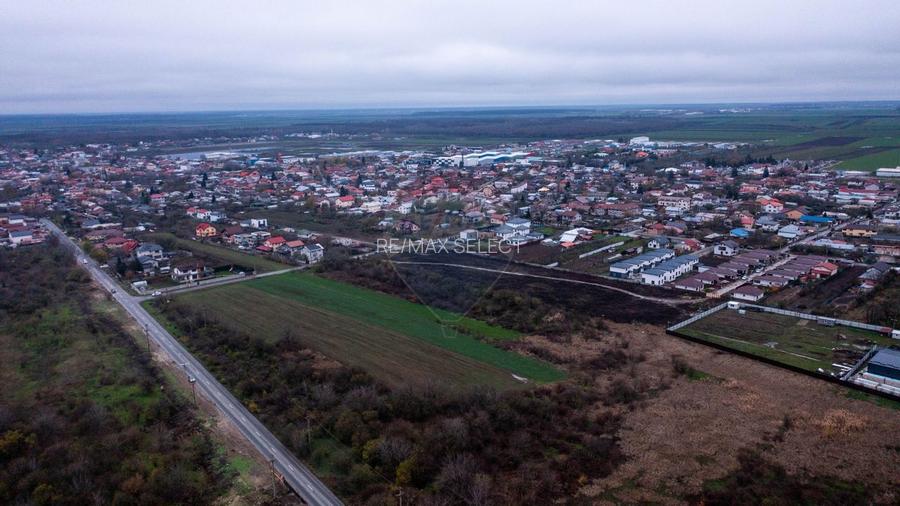 Vanzare teren intravilan 10.000mp Afumati - Strada Teiului - 11