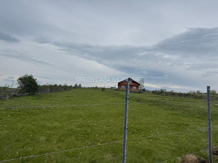 Oportunitate de investiție, cabană deosebită , Marisel - 4