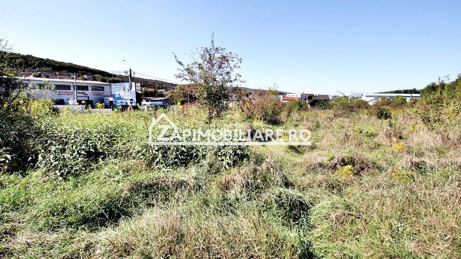 Teren intravilan 16.500mp 55euro mp deschidere de 82m la E60 - 5