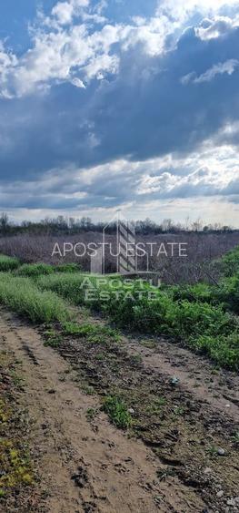 Teren intravilan , curent , apa , nr de casa Sacosu Turcesc - 4