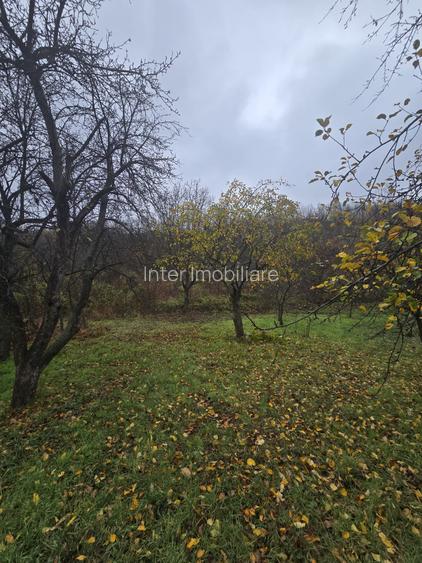 Teren intravilan Tomesti - 5